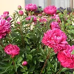 Bauernhof Di Valle Rosa Ferrara