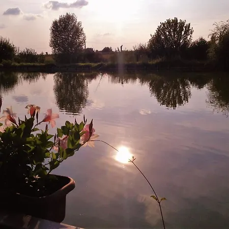 مزرعة للإقامة Di Valle Rosa