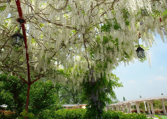 Séjour à la ferme Di Valle Rosa
