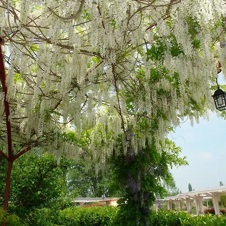 בית חווה Di Valle Rosa