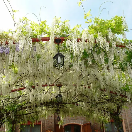 Di Valle Rosa בית חווה *