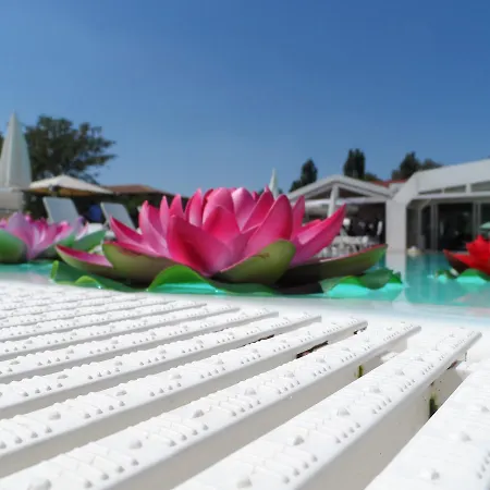 拉玛迪瓦莱罗莎农场度假酒店 农家乐 *