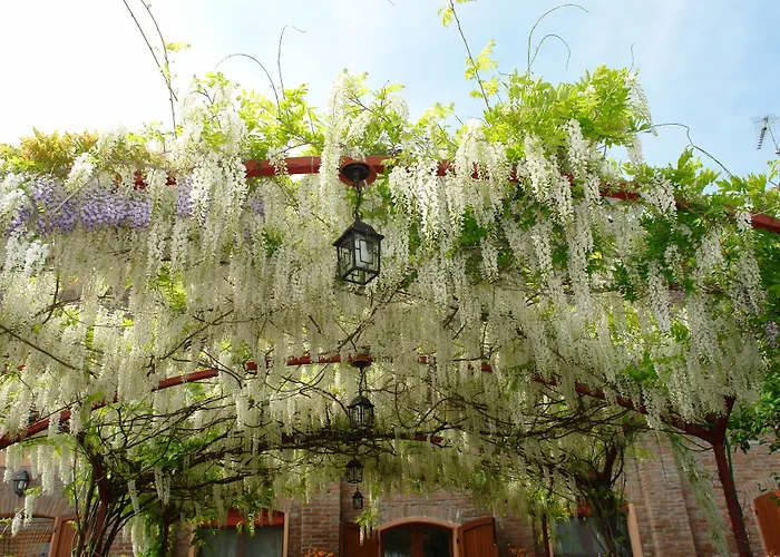 Di Valle Rosa Farm stay *